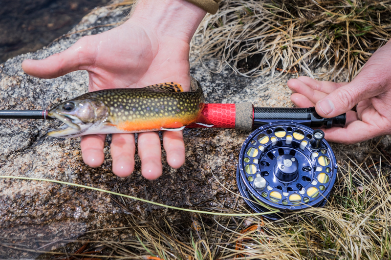 Illustration for article titled I learned to Fly Fish!
